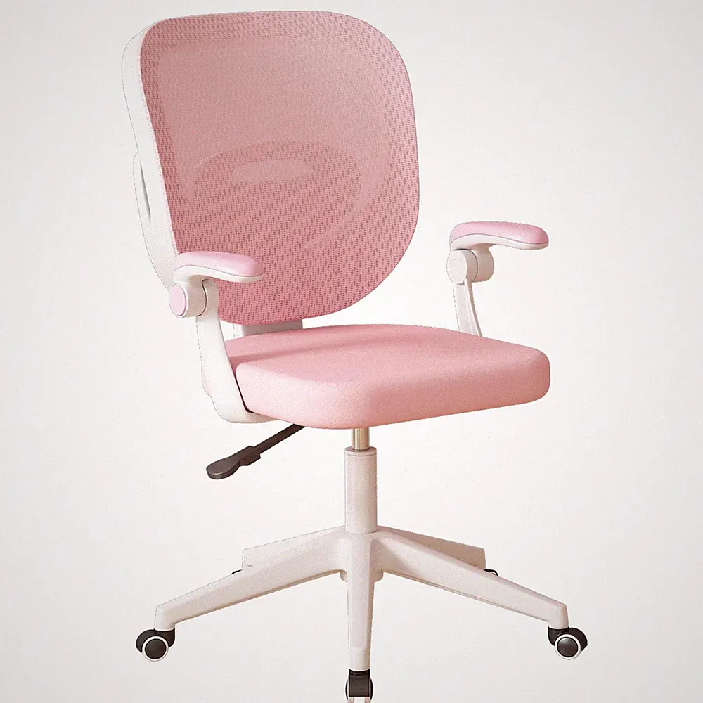 Desk Chair Ergonomic Study Chair with Adjustable Height Flipped Armrests Whee...