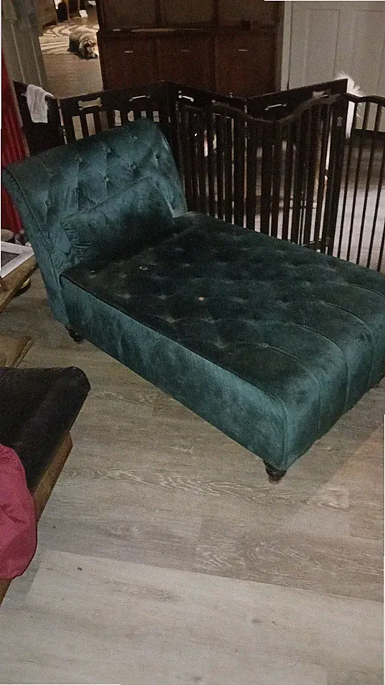 Modern Chaise Lounge Indoor Upholstered Storage Lounge Chair with Rivets Green